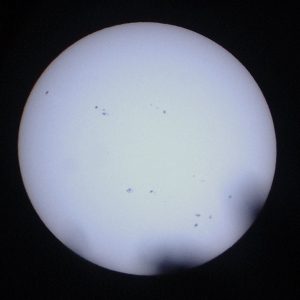 mylarsun